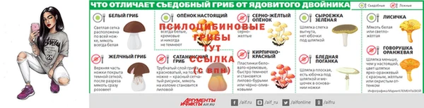 соль ск Володарск