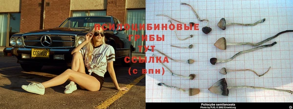 бутик Верхний Тагил
