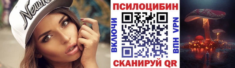 Купить  Суворов  Псилоцибиновые грибы ЛСД 